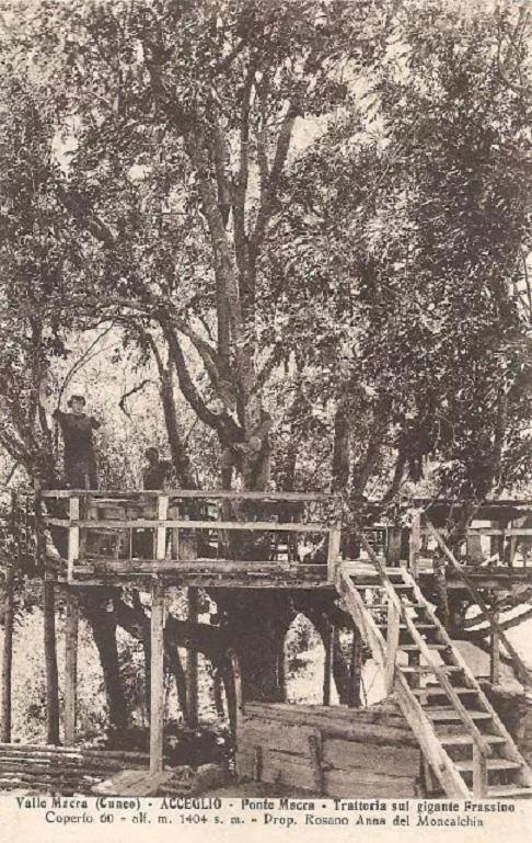 La Casa Del Gigante Frassino Διαμέρισμα Acceglio Εξωτερικό φωτογραφία