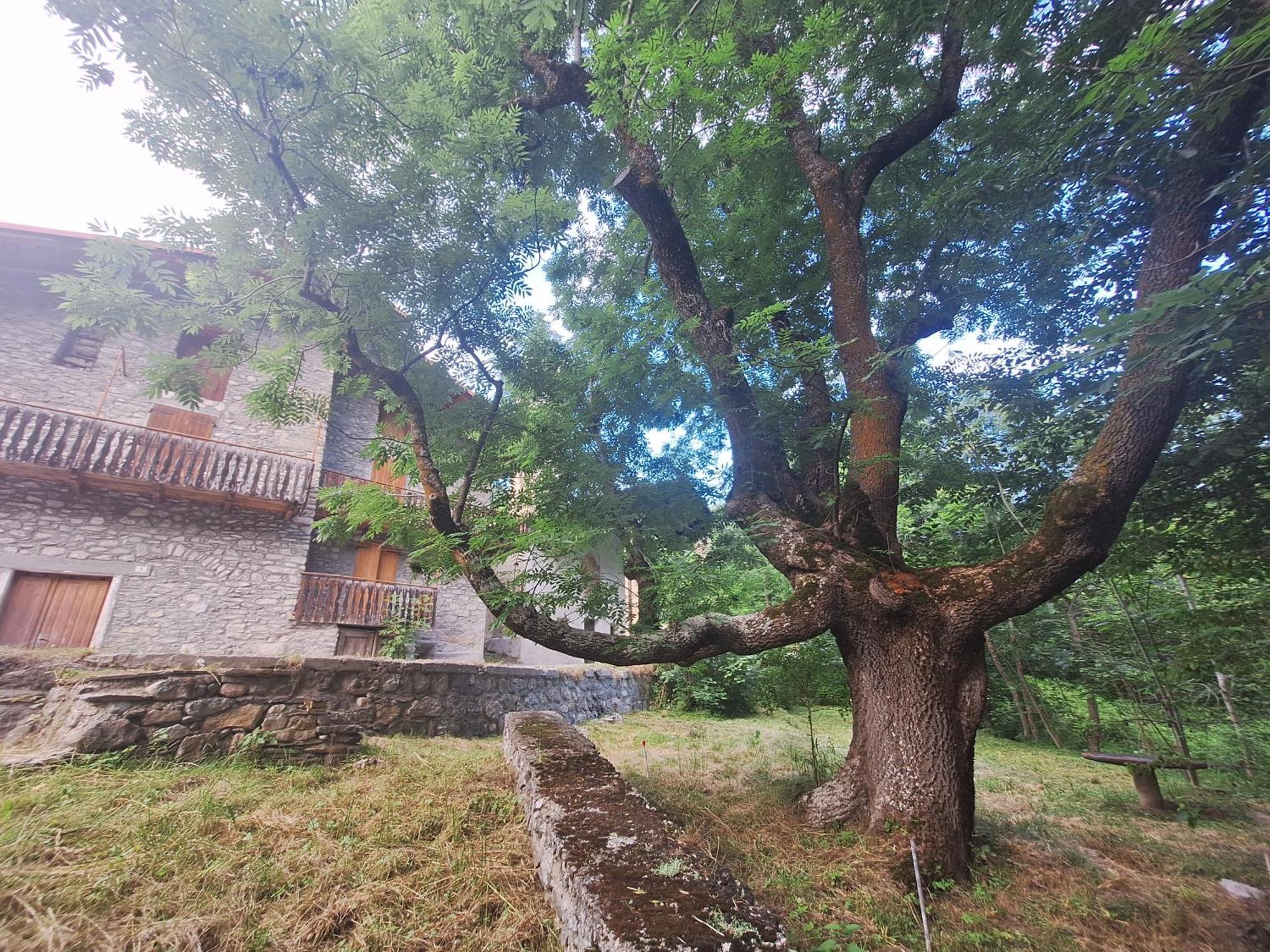 La Casa Del Gigante Frassino Διαμέρισμα Acceglio Εξωτερικό φωτογραφία